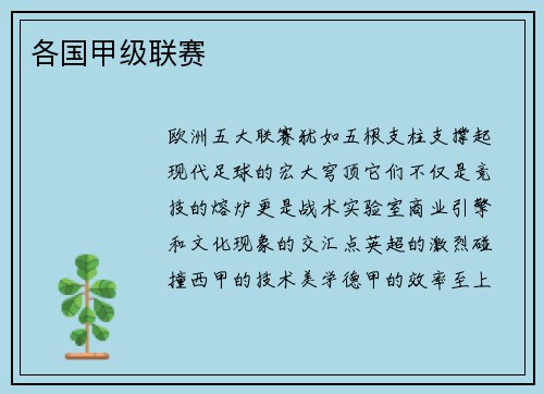 各国甲级联赛
